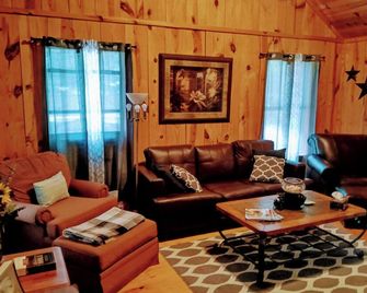 Stunning Cabin. On a Mountain Ridge! Perfect vacation getaway for all ages! - Mountain View - Living room