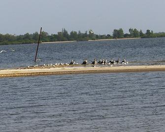 On An Island At The Water's Edge - Dinouar - Beach