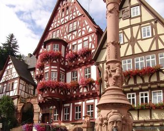 Hotel Schmuckkästchen - Miltenberg - Gebäude