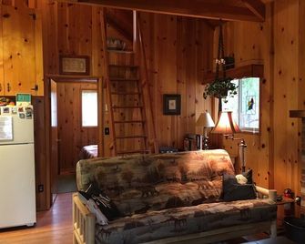 Cozy cabin in the woods - Close to the arts/music & village, Pet friendly, Wifi - Idyllwild - Living room