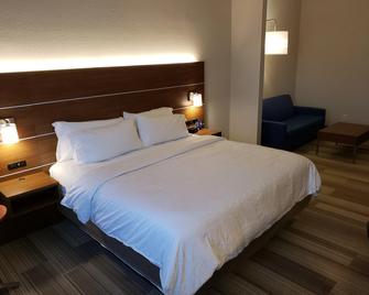 Holiday Inn Express & Suites Douglas - Douglas - Habitación