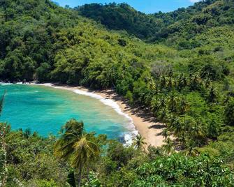 Castara Retreats - Castara - Beach