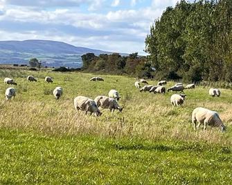 Magilligan - Cottage - Sleeps 6 - Parking - Garden - Limavady