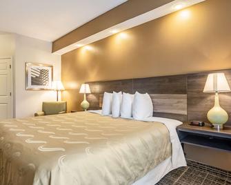 Quality Inn Rome - Rome - Bedroom
