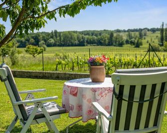 Au Coeur Des Vignes - Montagne - Patio