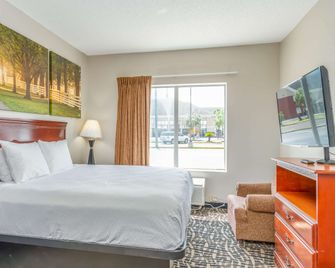 Days Inn by Wyndham Coliseum Montgomery AL - מונטגומרי - חדר שינה
