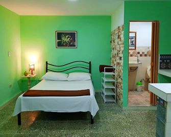 Casa Salud 215 - La Habana - Habitación