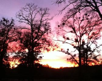 Secluded Peaceful Ranch Style Home Not Far From The City - Tyler - Outdoors view