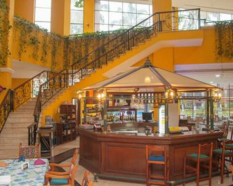 Nk Hotel Nekié Tepic - Tepic - Bar