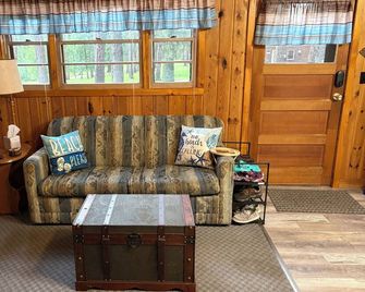 Charming 1-bedroom cabin in wonderful Park Rapids area with AC & WIFI. - Park Rapids - Living room