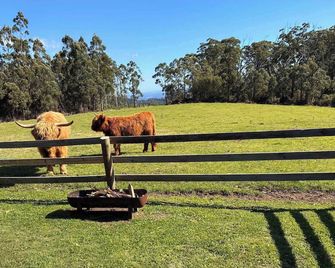 High on a Mountain Top by Tiny Away - Boolarra