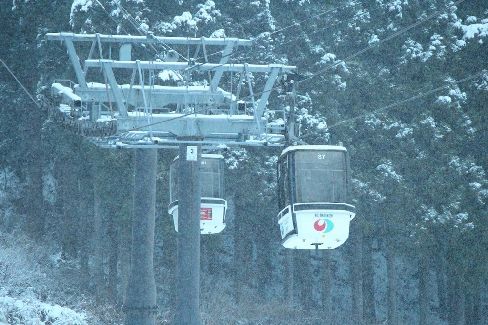 Nozawa Dream - Nozawa Onsen