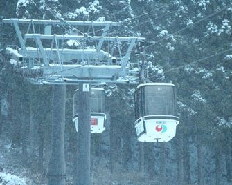 Nozawa Dream - Nozawa Onsen