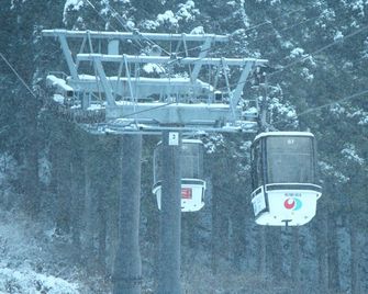 Nozawa Dream - Nozawa Onsen