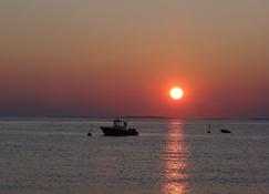 Quaint Martha's Vineyard Guest Cottage -Edgartown-walk to restaurants and shops - Edgartown - Beach