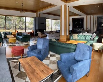 Balsoy Mountain Hotel - Erzurum - Salónek