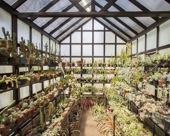 Hotel Posada Loma - Fortín de las Flores - Winkel