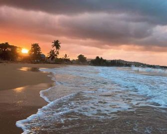 #G Tropical Rainforest Retreat Ocean View w/hottub - Luquillo - Playa