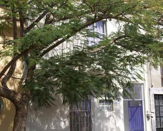 Hotelitto San Miguel - San Miguel de Allende - Dış görünüm