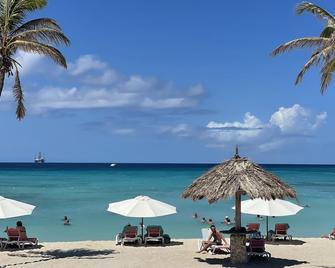 Swiss Paradise Aruba - Noord - Beach