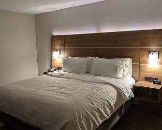 Holiday Inn Express South Burlington - South Burlington - Schlafzimmer