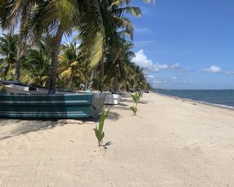 All Seasons Guest House - Hopkins - Plage