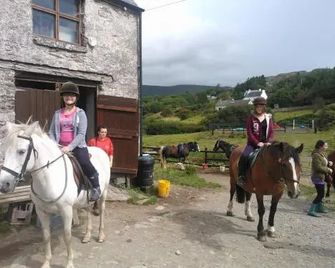 The Ferry Boat - Portmagee