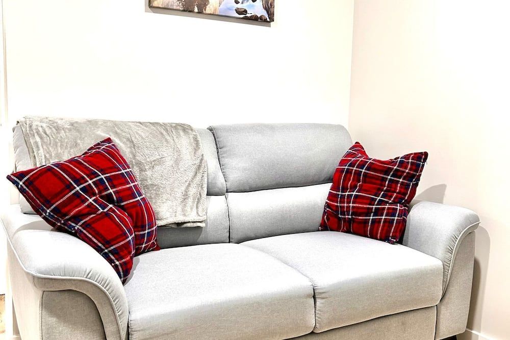 Two Bedroom Basement Suite With Private Entrance & Free Parking - Winnipeg - Living room