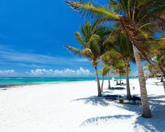 Akumal Natura Glamping - Akumal - Beach