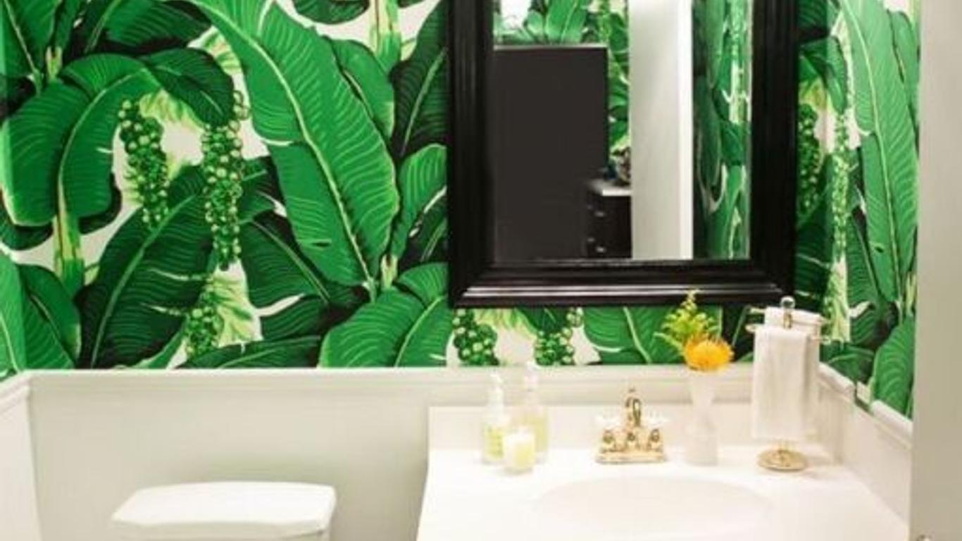 The Urban Jungle Hostel