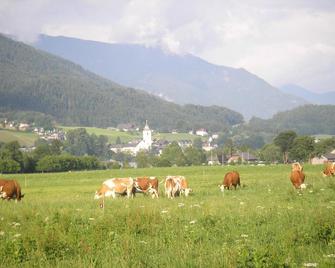 Loitzbauer Ferienwohnungen - Bad Ischl