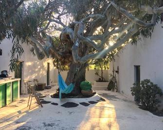Patio II studio at finca - La Asomada - Patio