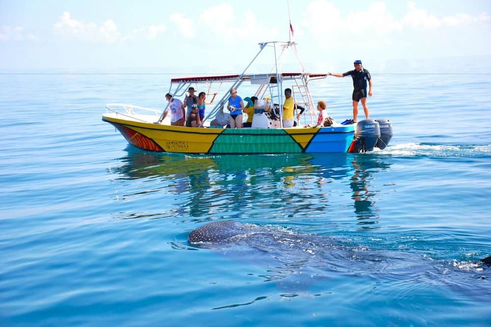 Casa Las Tortugas Petit Beach Hotel & Spa - Holbox