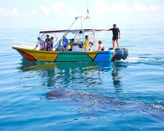 Casa Las Tortugas Petit Beach Hotel & Spa - Holbox