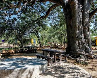 Sleepover Beitbridge - Musina - Patio