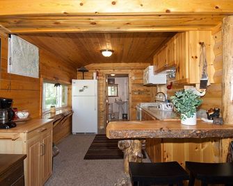 Remington Retreat - Island Park - Kuchnia