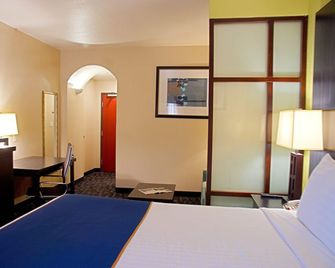 Super 8 By Wyndham Irving/Dfw Apt/North - Irving - Bedroom