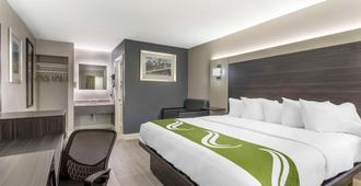 Quality Inn University - Gainesville - Bedroom