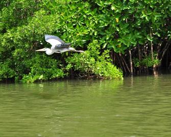 The Waves Beach Chalets - Tangalla - Outdoors view