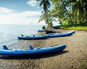 Terrazas del Golfo - Puerto Jimenez