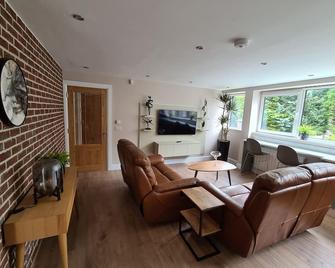 Perfect Luxury 2 bedroom, 3 bathroom apartment. 5 star reviews, laundry. - Cork - Living room