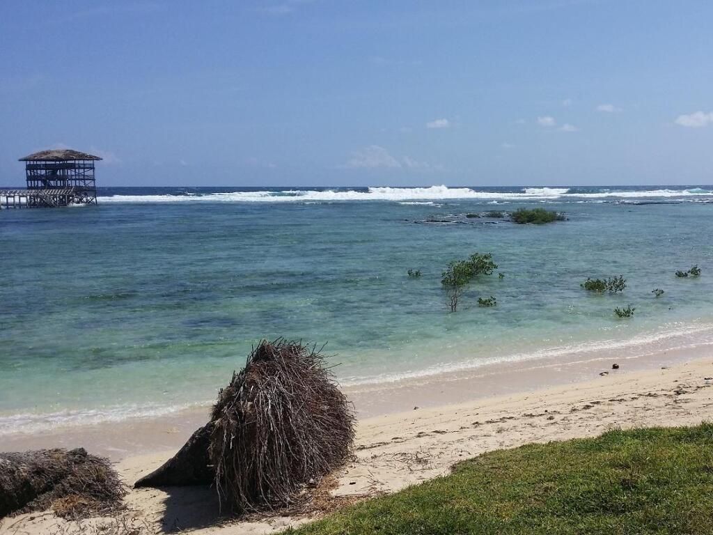 كيسا كلاود 9 هوتل آند ريزورت سيارجاو