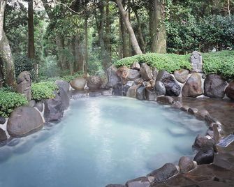 Hotel Kirishima Castle - Kirishima