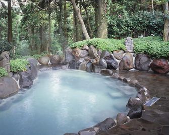 Hotel Kirishima Castle - Kirishima