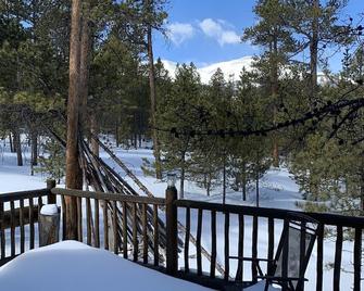 Quaint House in the Woods hiking trails, pet friendly and lots of privacy - Twin Lakes (Lake County) - Balcón