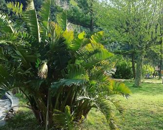 Hotel Parco Delle Rose - Acquappesa