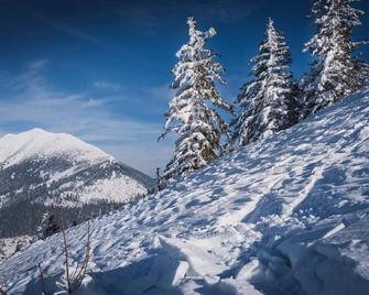 Vacation home not far from the Großer Ötscher with a balcony and a fantastic view - Gaming