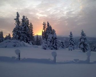 Torpomoen - Ål - Vista del exterior