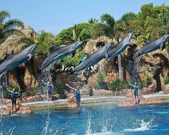 Calico Court Motel - Tweed Heads