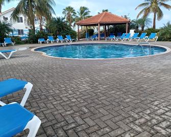 Curacao's Finest Diving Is Just Steps Away From This Well-Equipped Modern Villa. - Sabana Westpunt - Zwembad